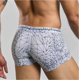 Male Basics Hipster Trunk Spider Large in geometric design, providing comfort and modern style in men's underwear.