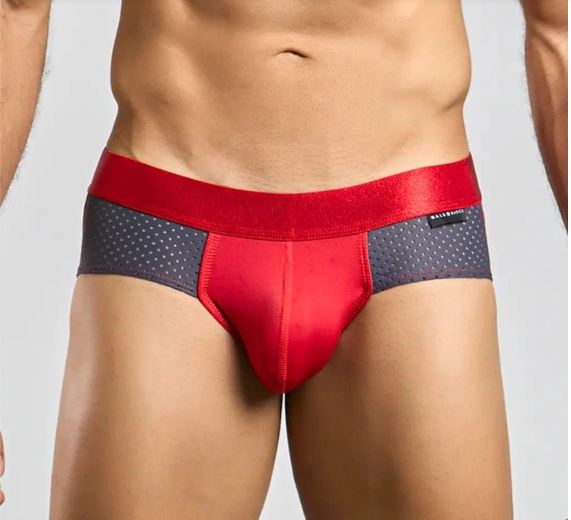 Male Basics Spot Brief Gray Medium - Image 2