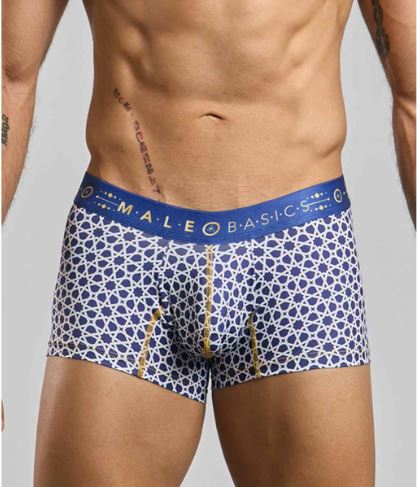 Male Basics Hipster Trunk Stellar Medium